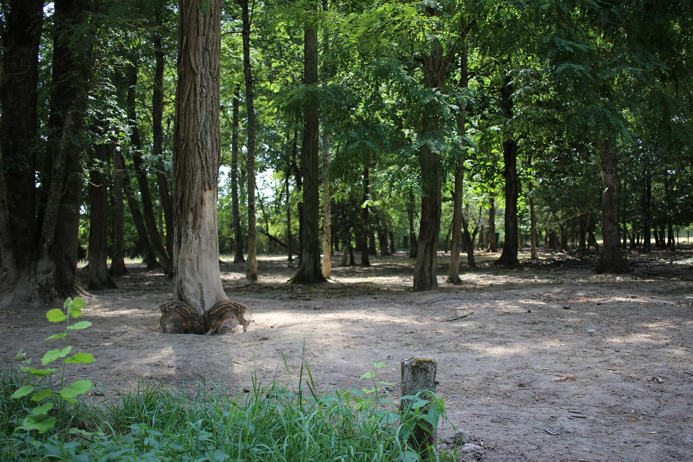 Réserve de Beaumarchais