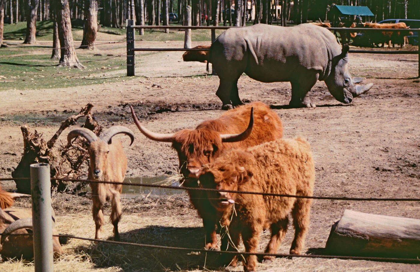 Safaripark Gänserndorf
