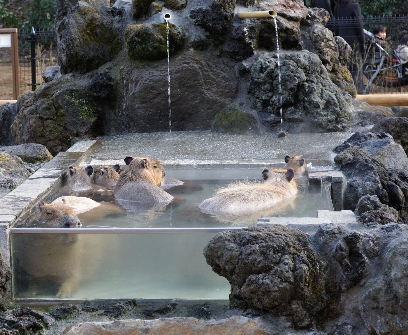 Saitama Children's Zoo