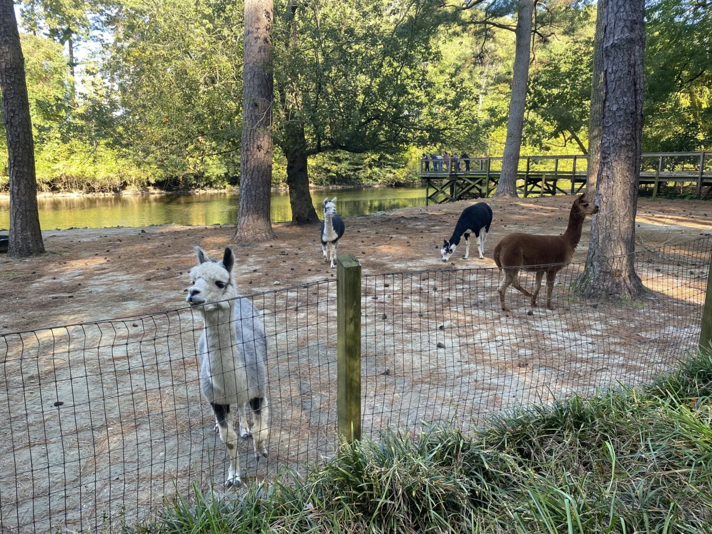 Salisbury Zoo