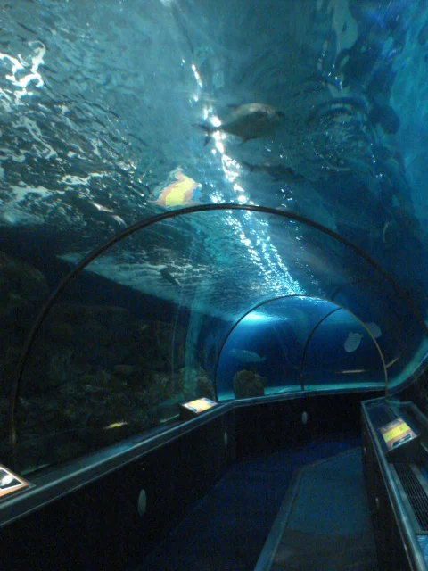 Sea Life at Mall of America