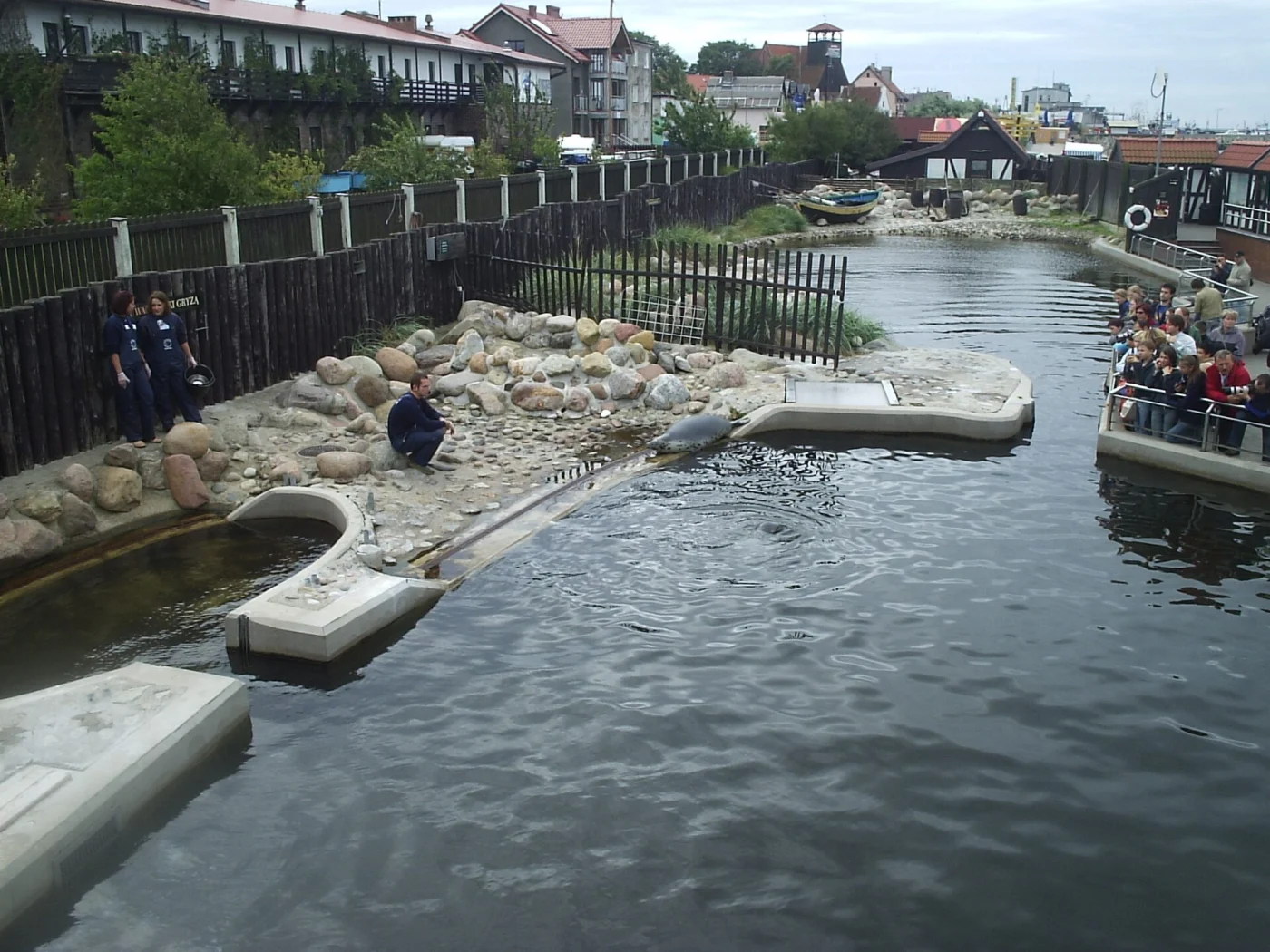 Seal Sanctuary in Hel
