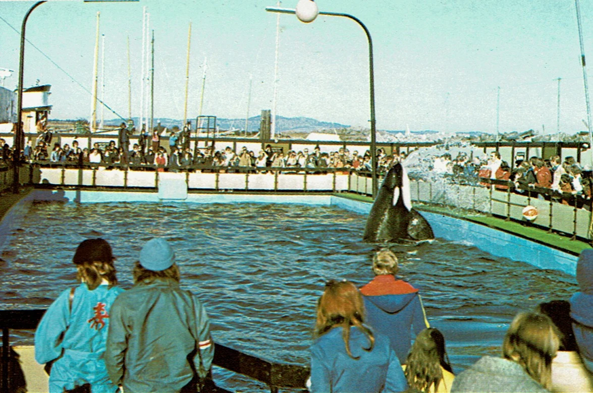 Sealand of the Pacific