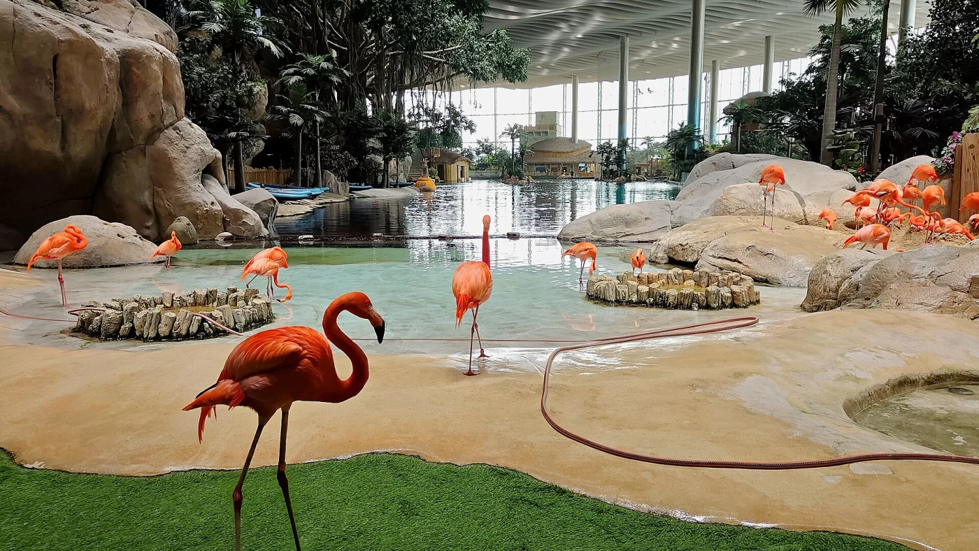 SeaWorld Abu Dhabi