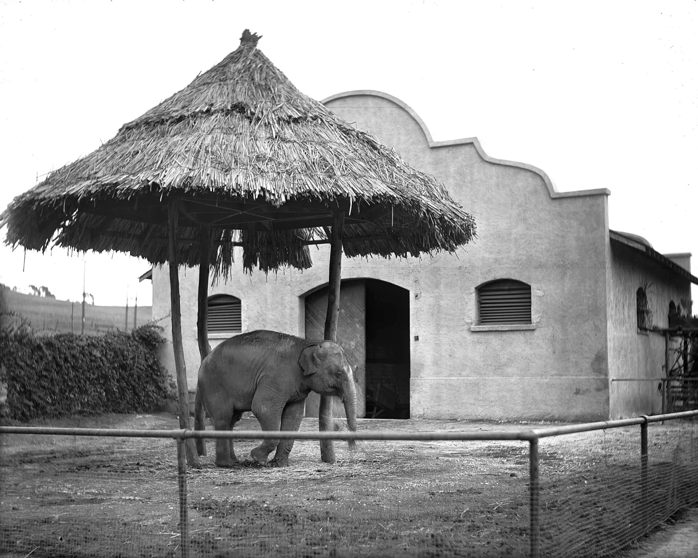 Selig Zoo