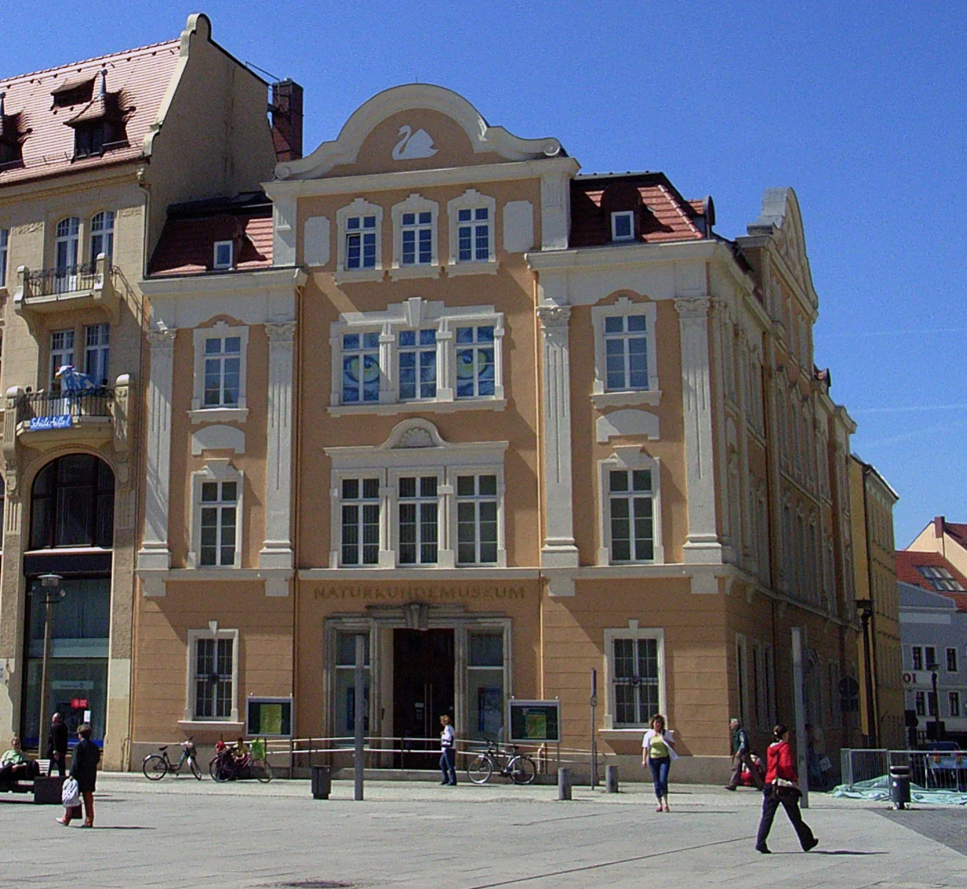 Senckenberg Museum of Natural History Görlitz