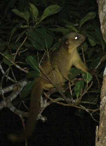 Smithsonian Conservation Biology Institute