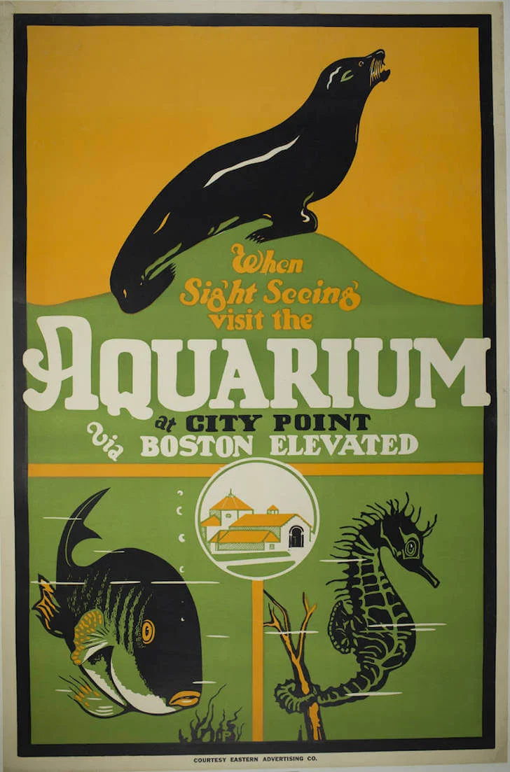 South Boston Aquarium