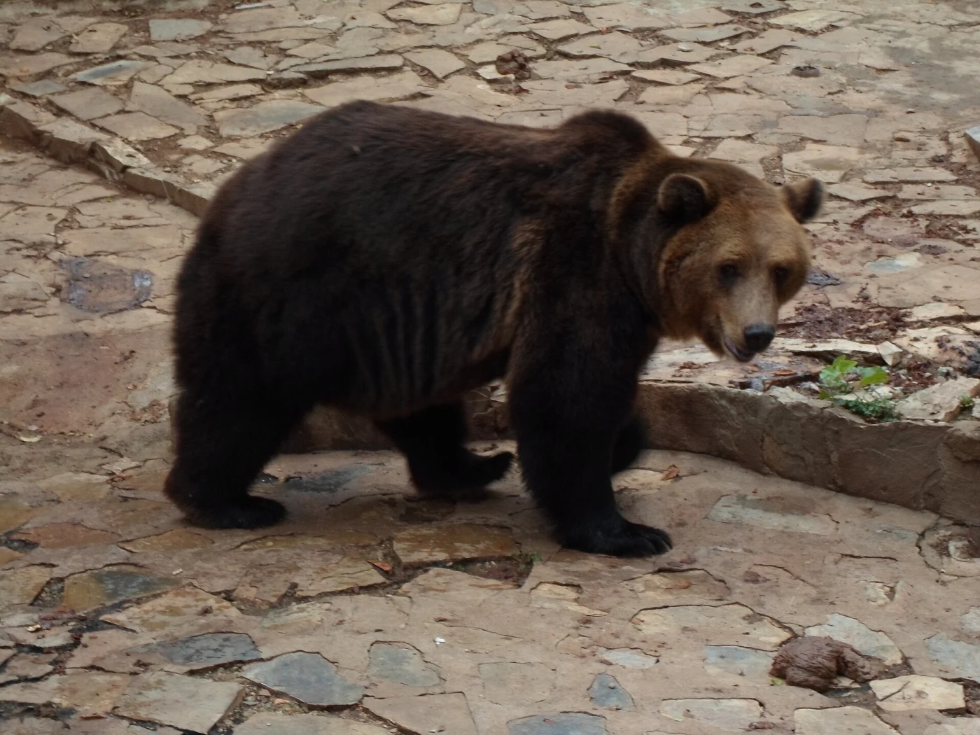 Stara Zagora Zoo