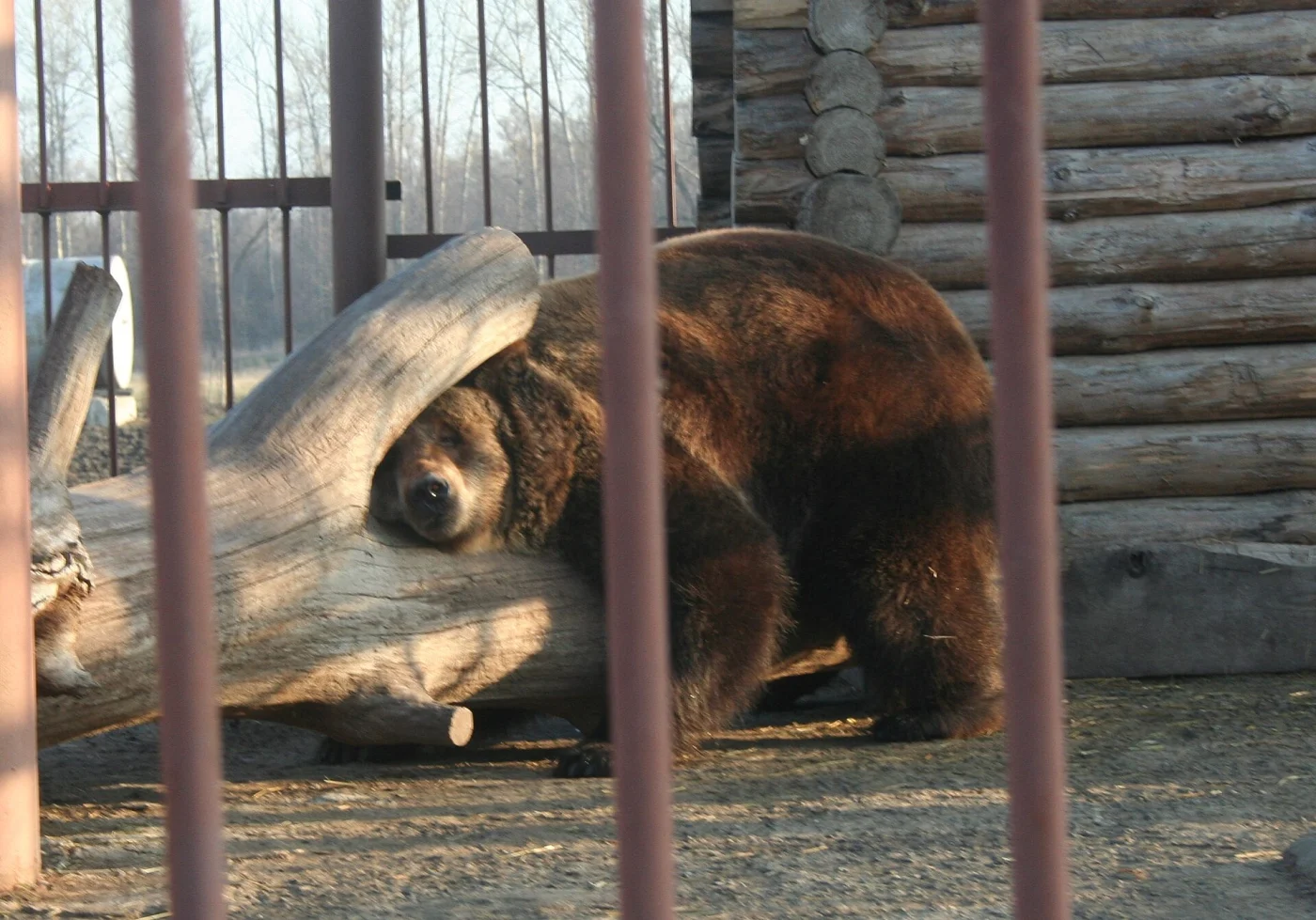 Starooskolsky Zoo