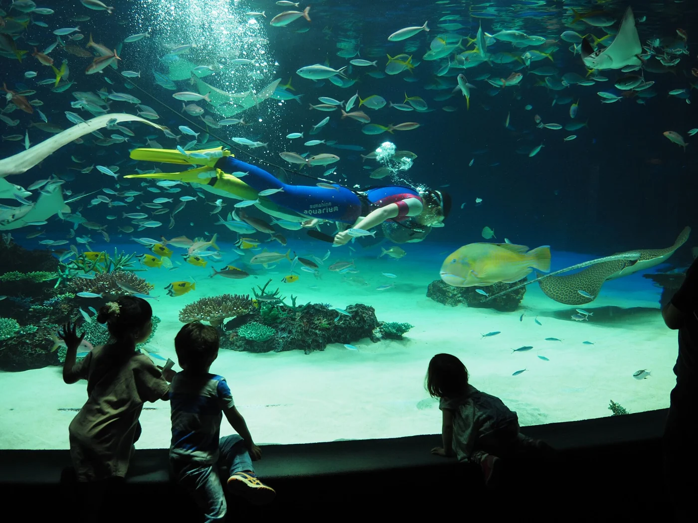 Sunshine Aquarium