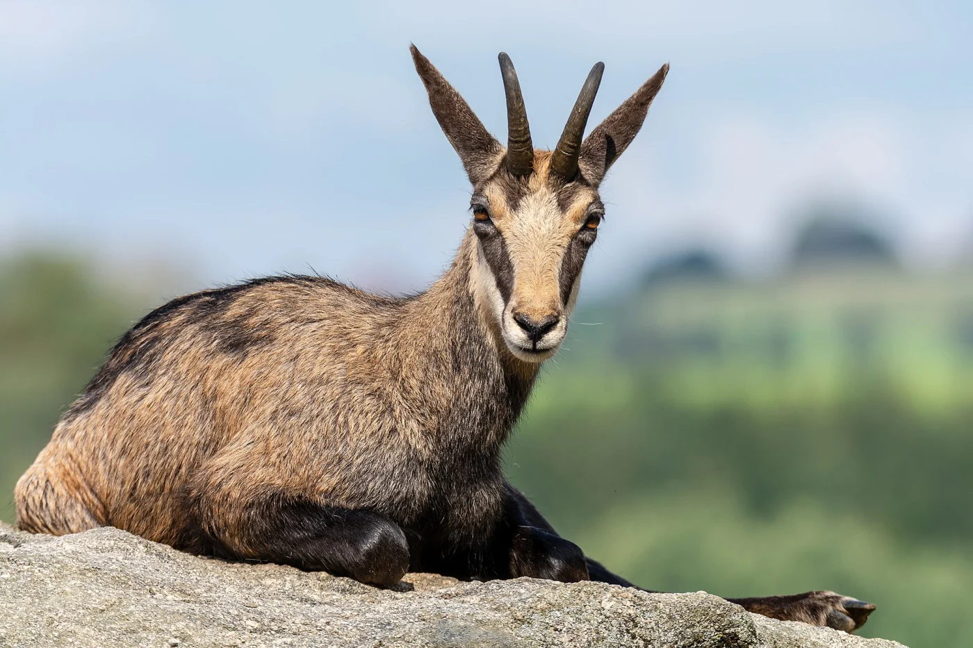 Tierpark Altenfelden