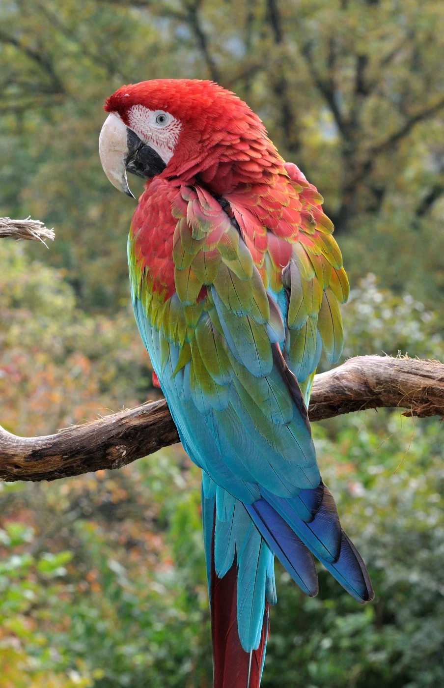 Tierpark Herborn
