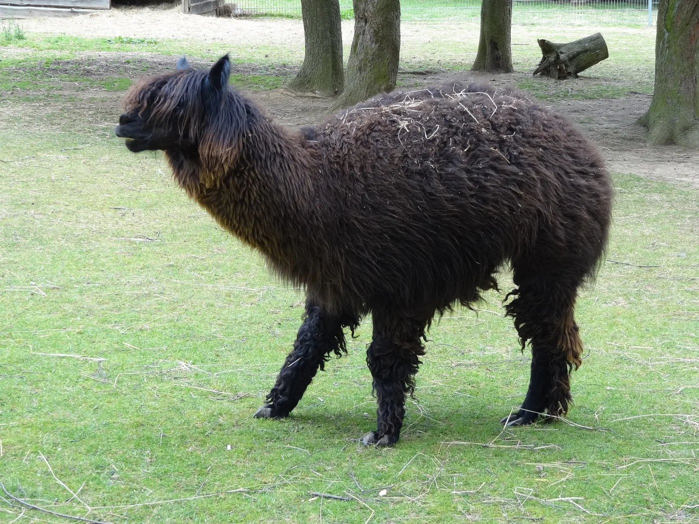 Tierpark Klosterwald