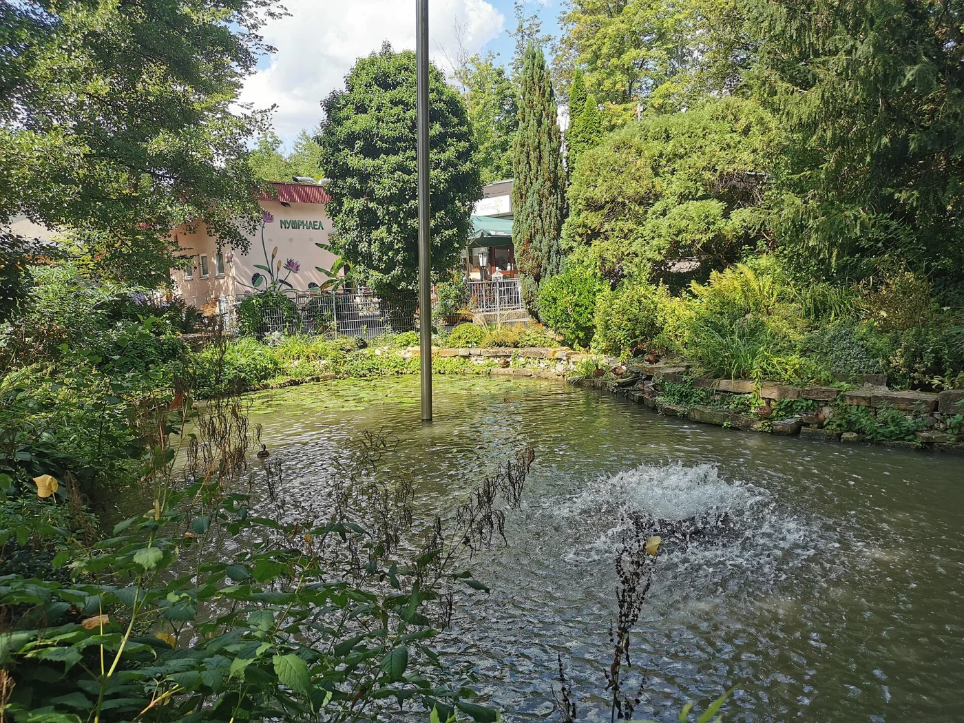Tierpark Nymphaea