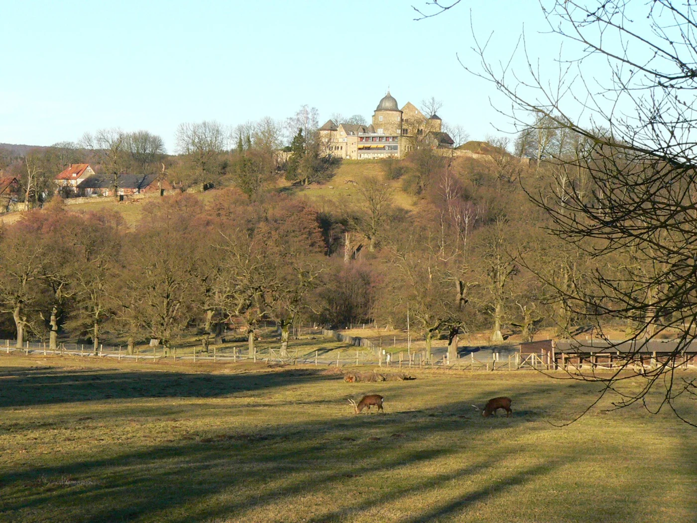 Tierpark Sababurg