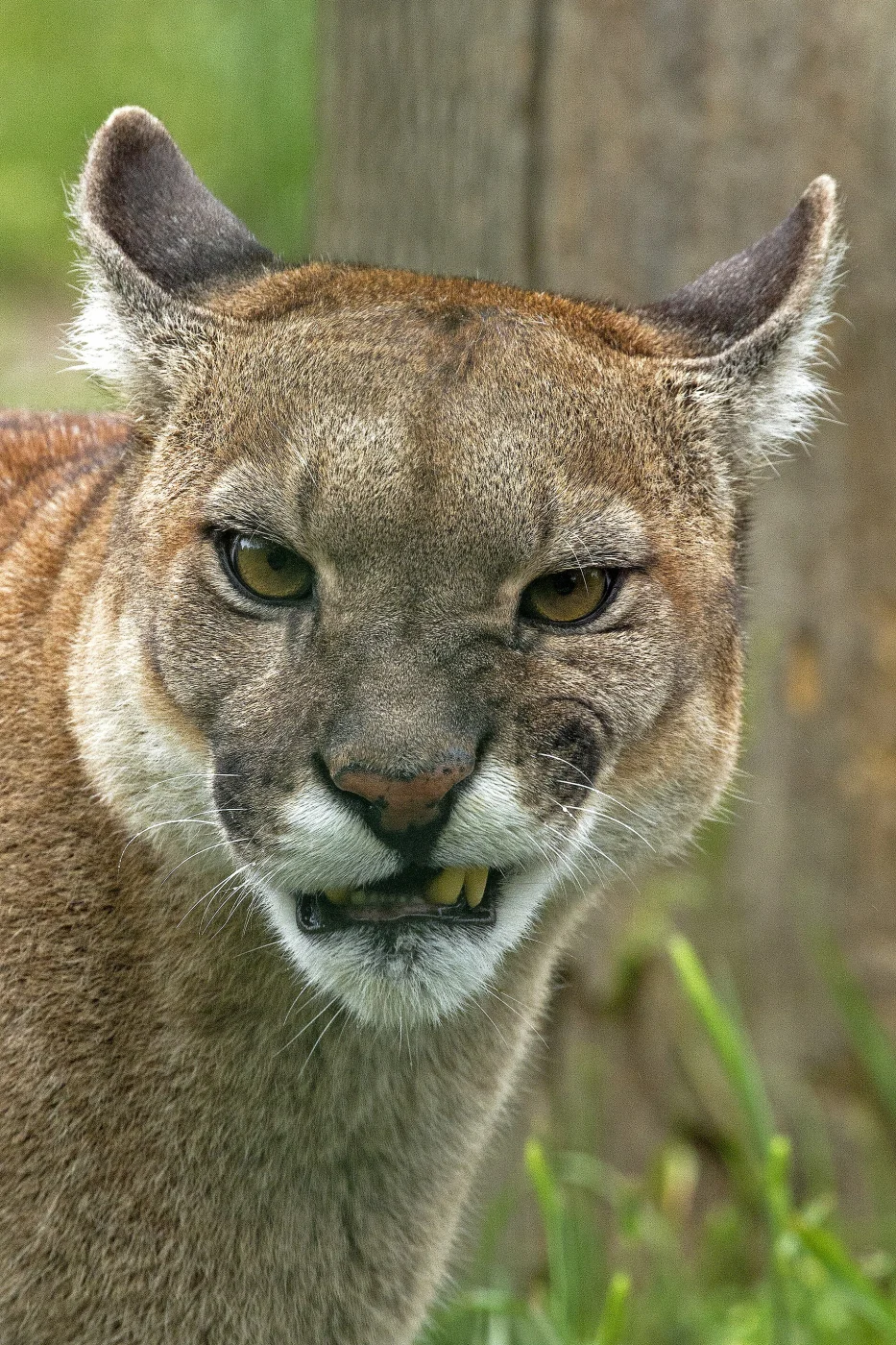 Tierpark Ströhen