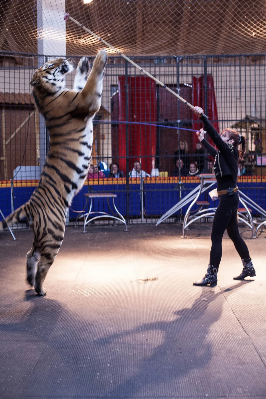 Tigerpark Dassow