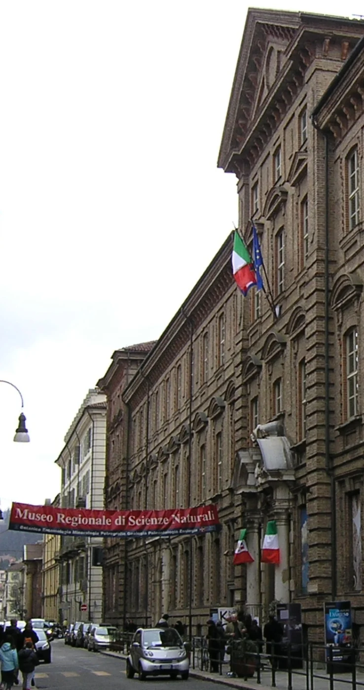 Turin Museum of Natural History