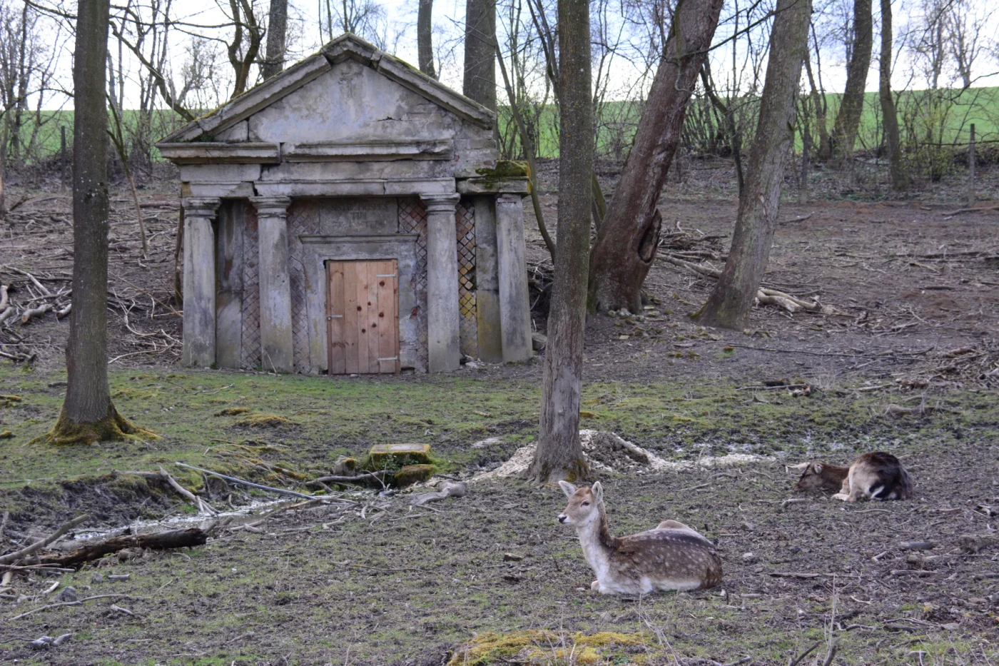 Wildpark Ernstbrunn