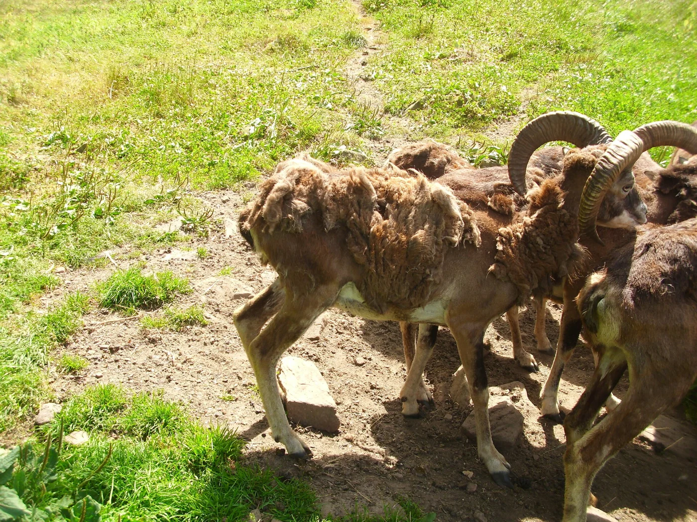 Wildpark Gersfeld