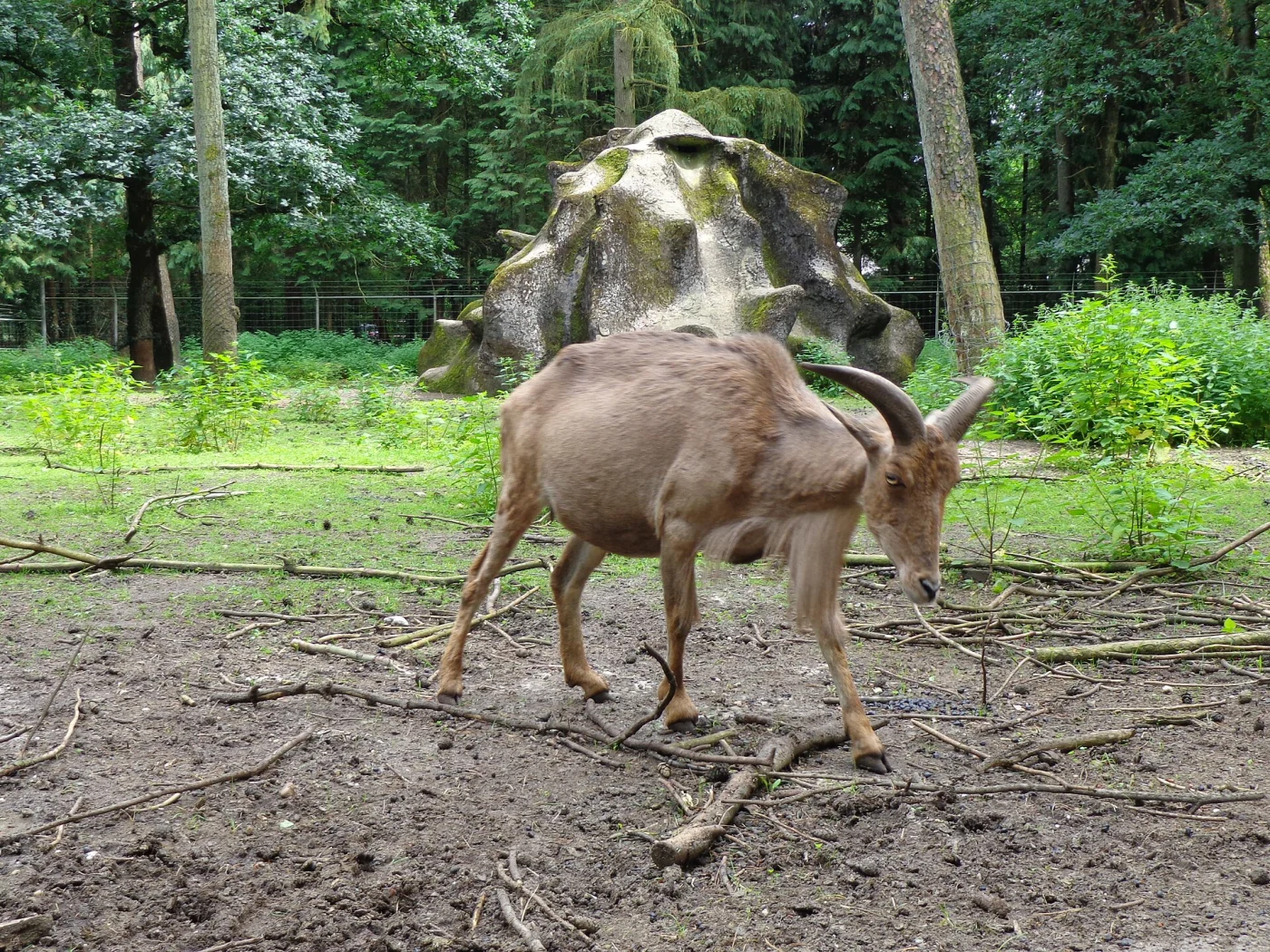 Zeister Dierenpark