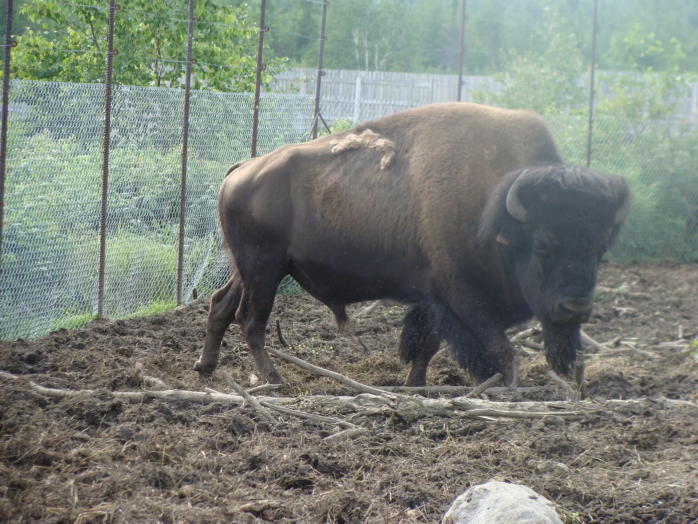 Zoo de Falardeau