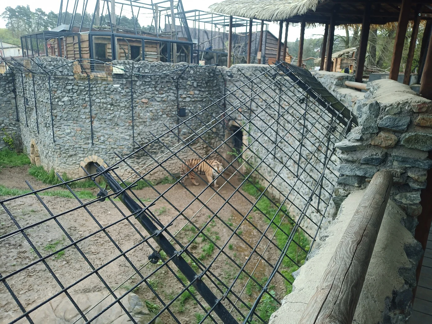 Zoo Plasy