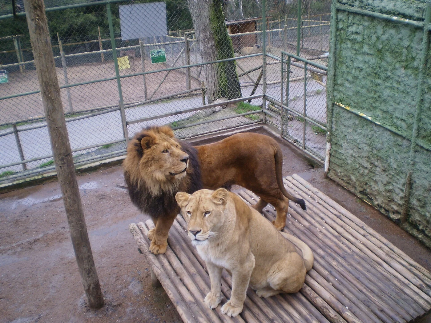 Zoológico de Concepción
