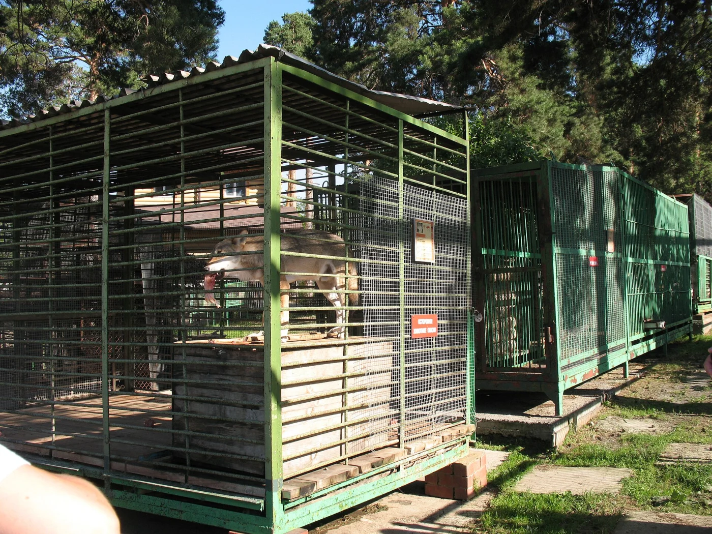 Zoopark Chelyabinsk